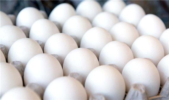 واردات 10 هزار تن تخم‌مرغ برای ثبات بازار